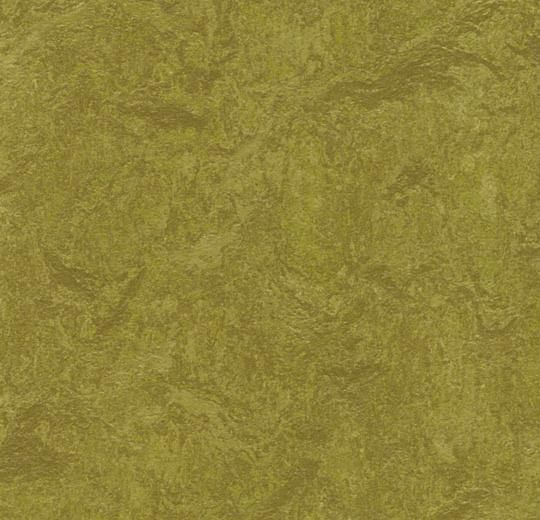 Marmoleum Real 3239 olive green