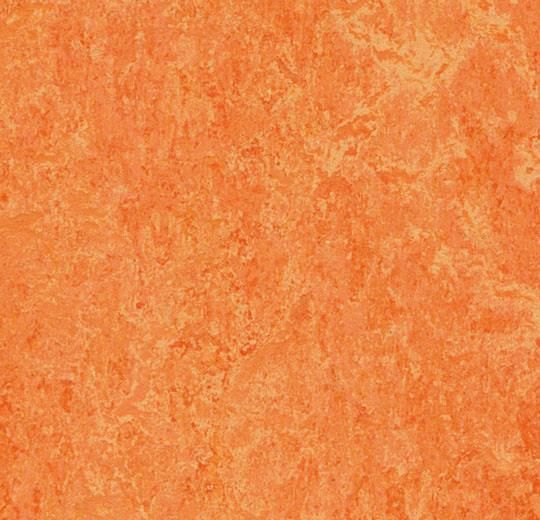 Marmoleum Real 3241 orange sorbet